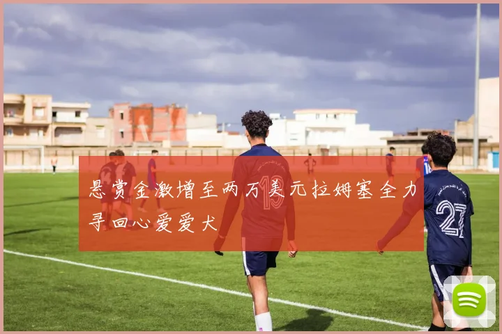 悬赏金激增至两万美元拉姆塞全力寻回心爱爱犬