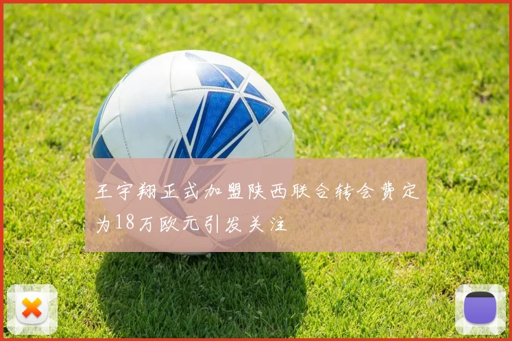 王宇翔正式加盟陕西联合转会费定为18万欧元引发关注