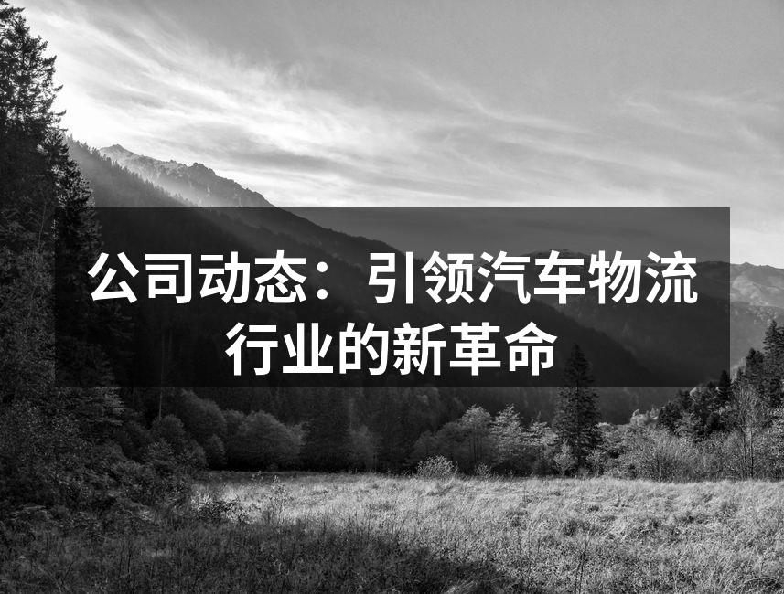 引领行业创新的汽车物流解决方案
