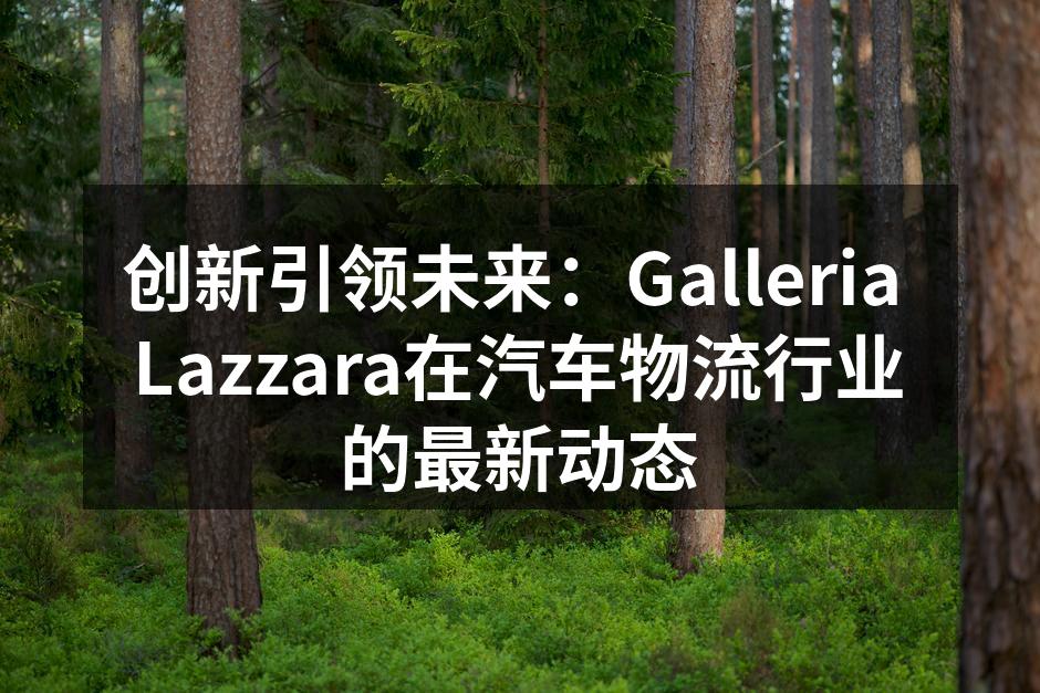Galleria Lazzara的智能物流中心