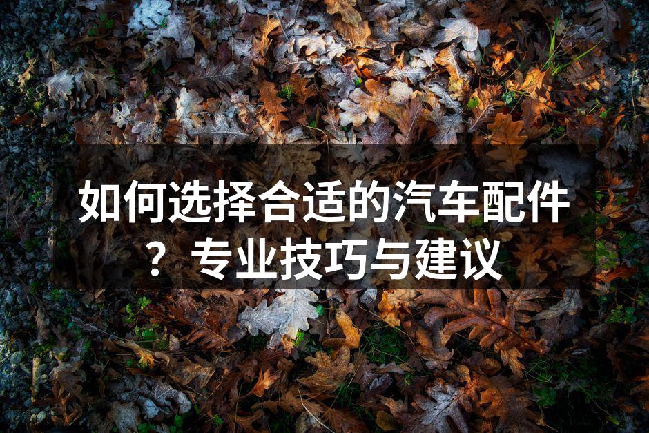 专业汽车配件展示